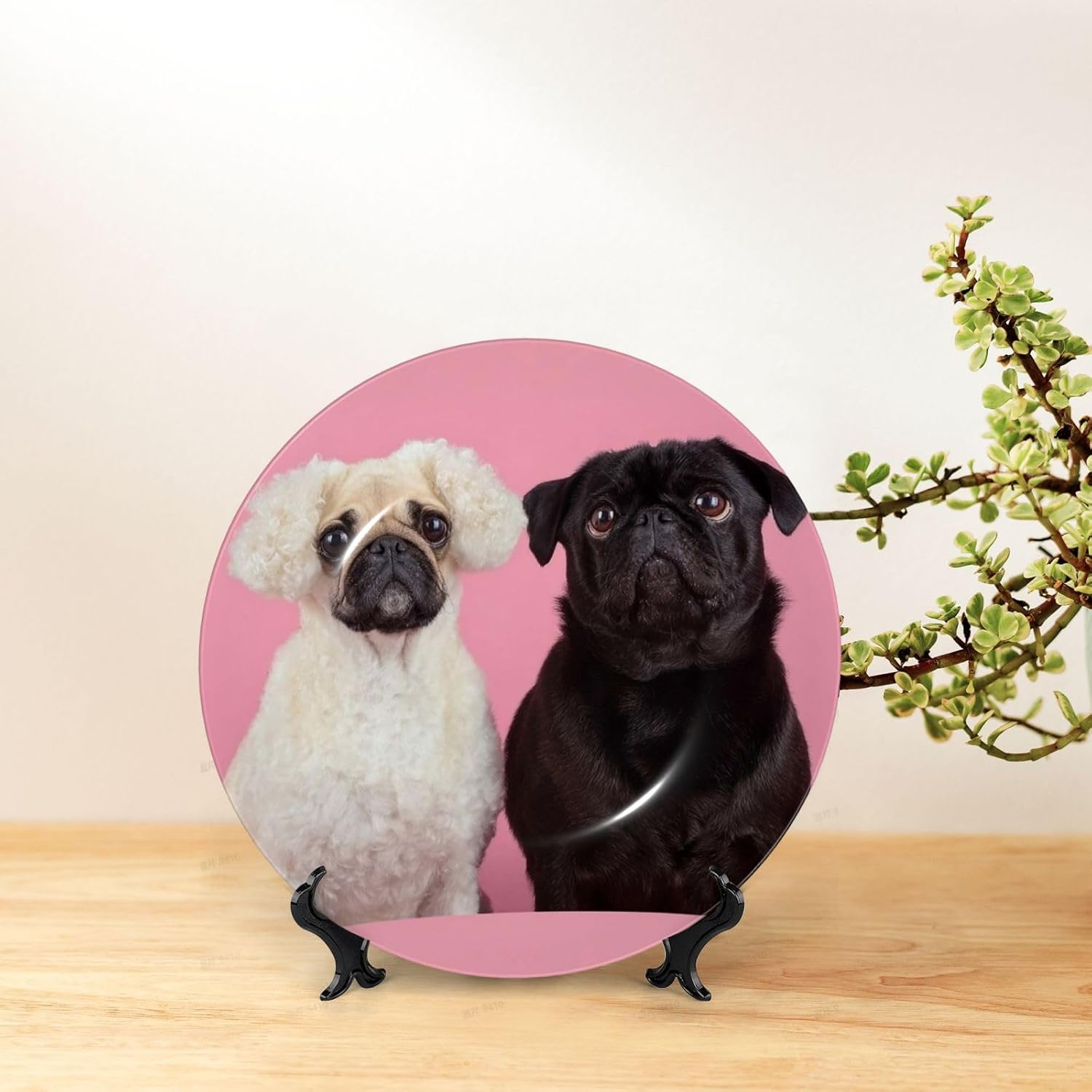 Decorative Plate 10in Bone China Dessert Plates with Display Stand Ceramic Ornament Ceramic pug dog cute Decorative Plates Art Crafts Porcelain Plate for Home Club Living Room