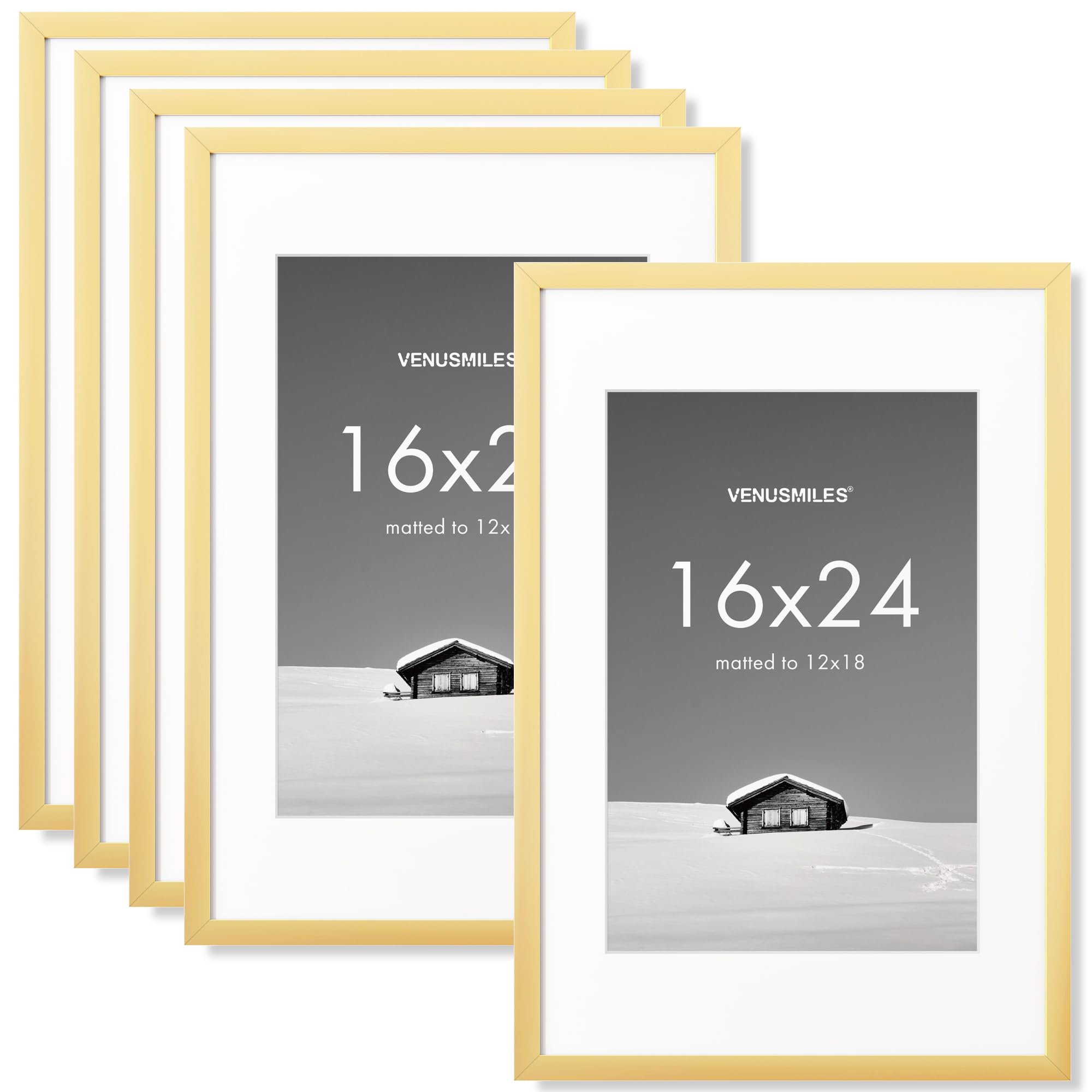 Venusmiles 16x24 Frame 5 Pack