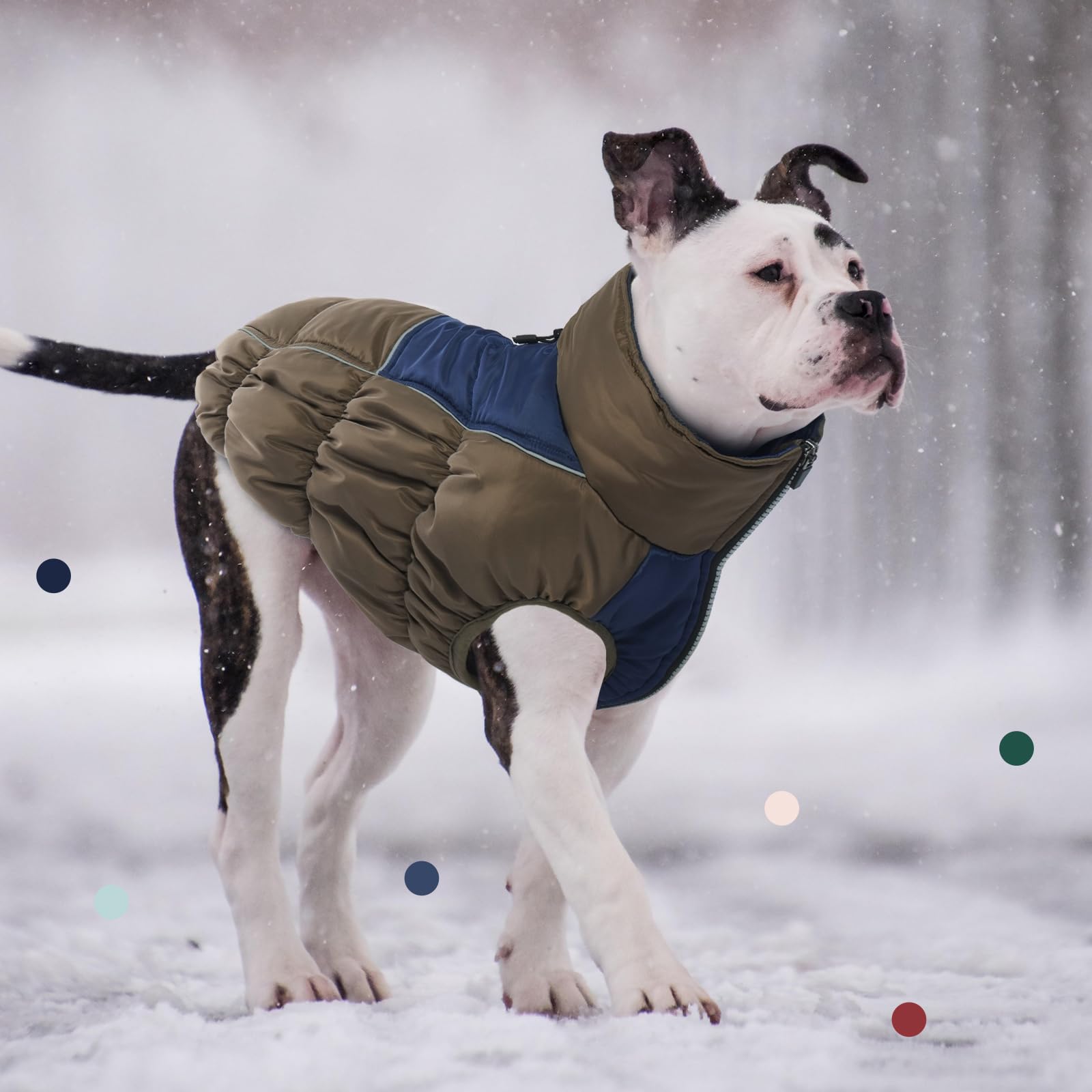 IECOii Manteau de neige imperméable XXL avec doublure en polaire, col roulé réfléchissant, fermeture éclair pour grands chiens