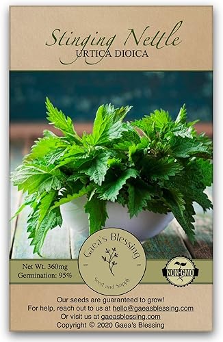 Gaea's Blessing Semillas – Semillas de ortiga picantes – Semillas sin OMG con instrucciones fáciles de seguir – Heirloom de polinización abierta 95%