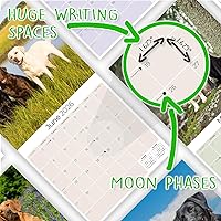 Vista 885 de Razas de Perros 2017