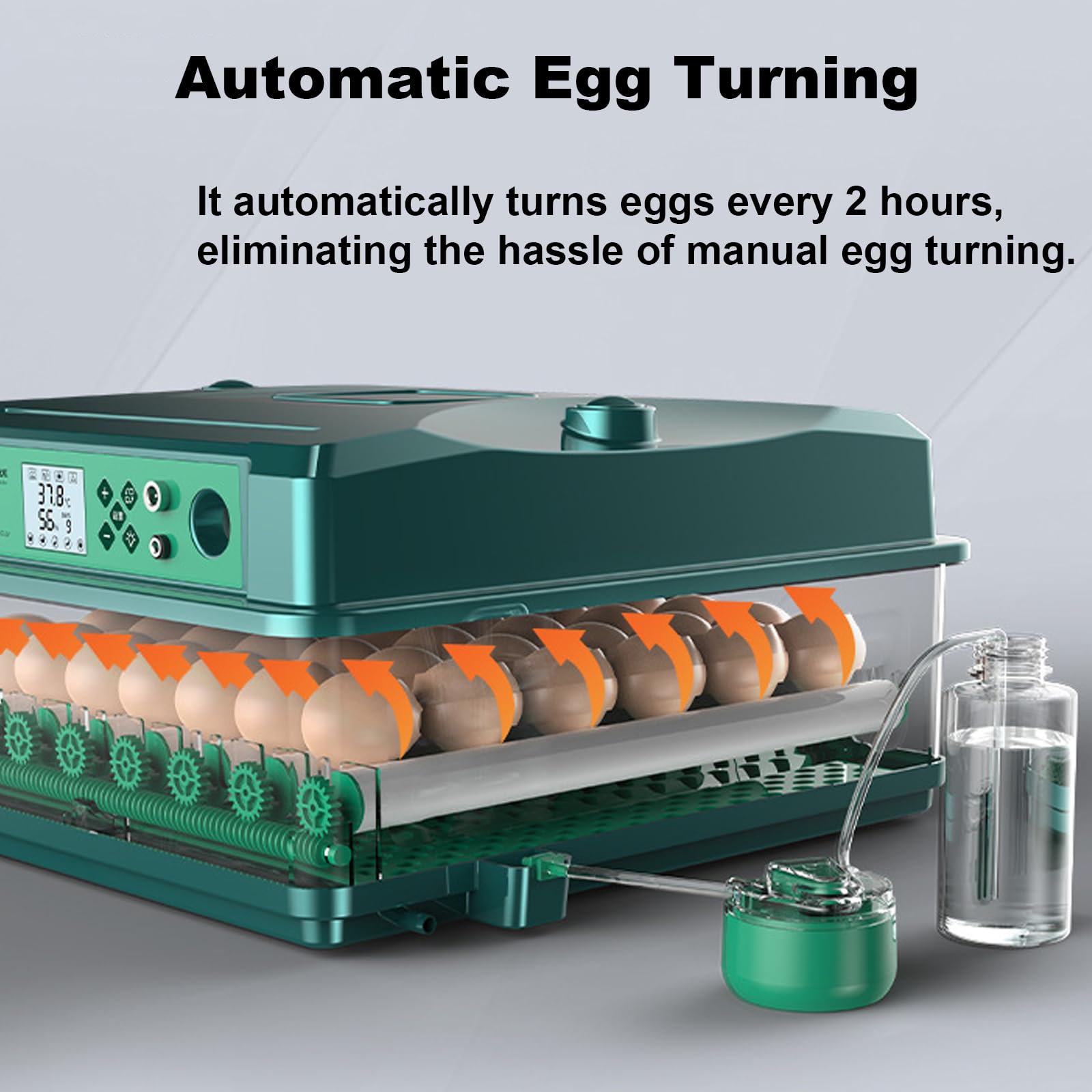 Incubadora automática de huevos, incubadora digital de aves de corral con control de temperatura y humedad para pollos, gansos, patos, palomas y codornices