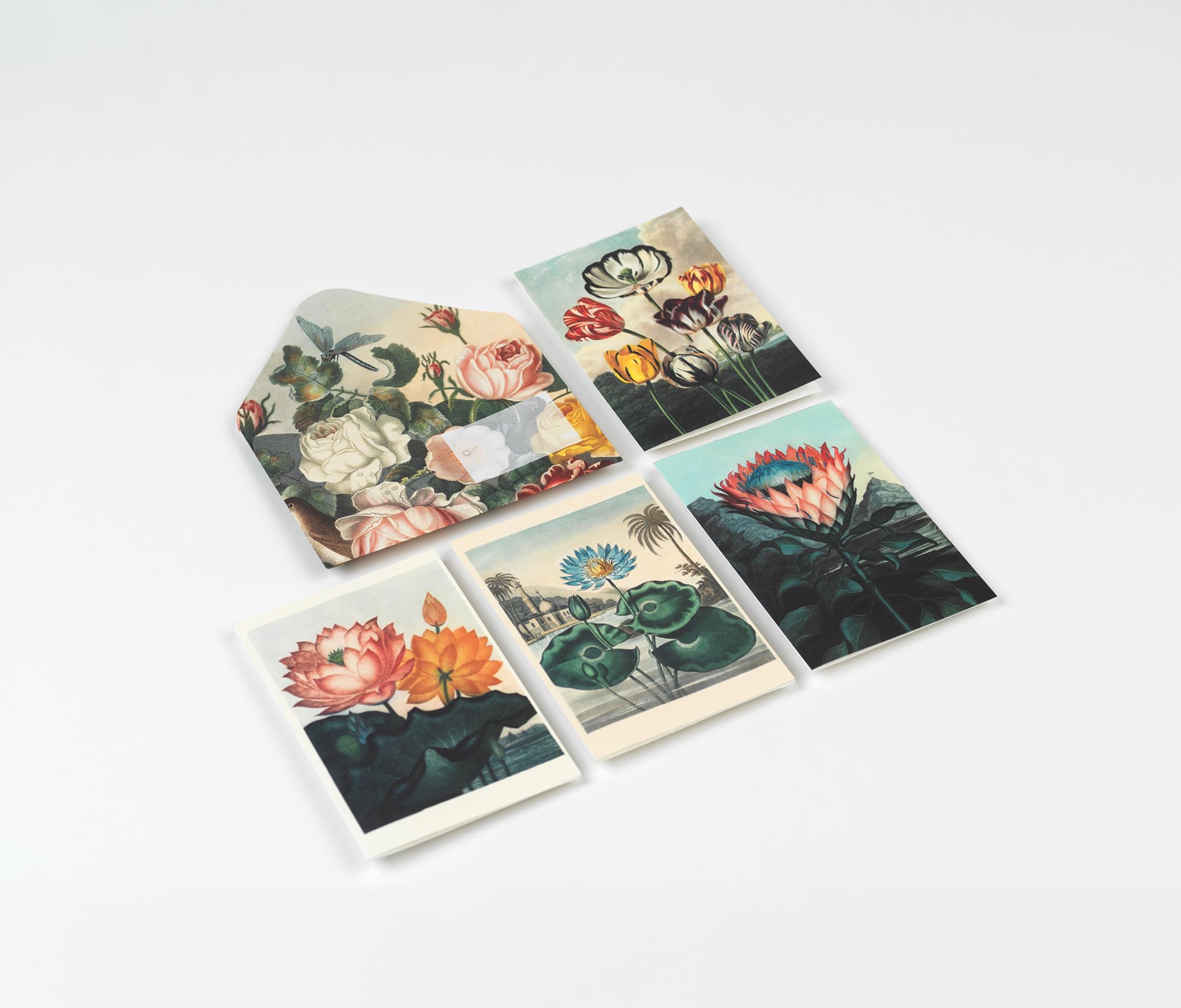 Flowers: Creative Paper Book