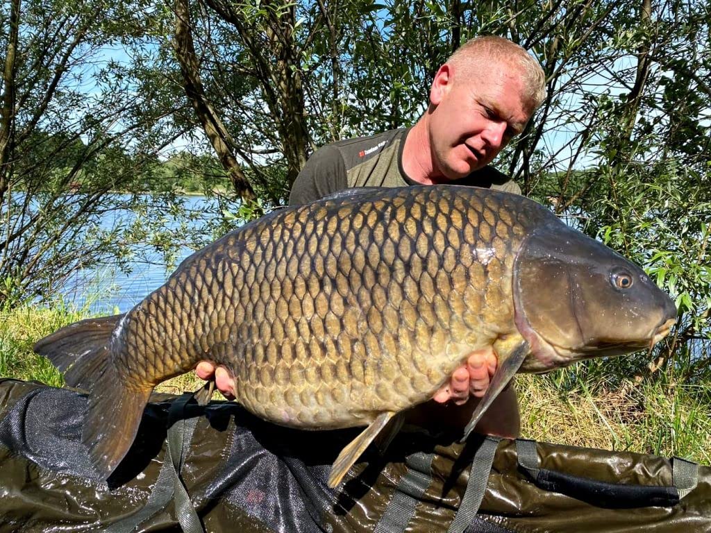 Tandem Baits Master Mix Groundbait Booster XXL Blodworm karper-lokmiddel lokmiddel lokmiddel aas karpers vissen aas voor grote vissen karperaccessoires professionele en hobby vissers visvoer 1000 ml Tandem Baits Master Mix Groundbait Booster XXL Blodworm karper-lokmiddel lokmiddel lokmiddel aas karpers vissen aas voor grote vissen karperaccessoires professionele en hobby vissers visvoer 1000 ml