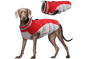 FUAMEY Dog Winter Coat: Warm, Reflective, Waterproof Protection for Your Furry Friend