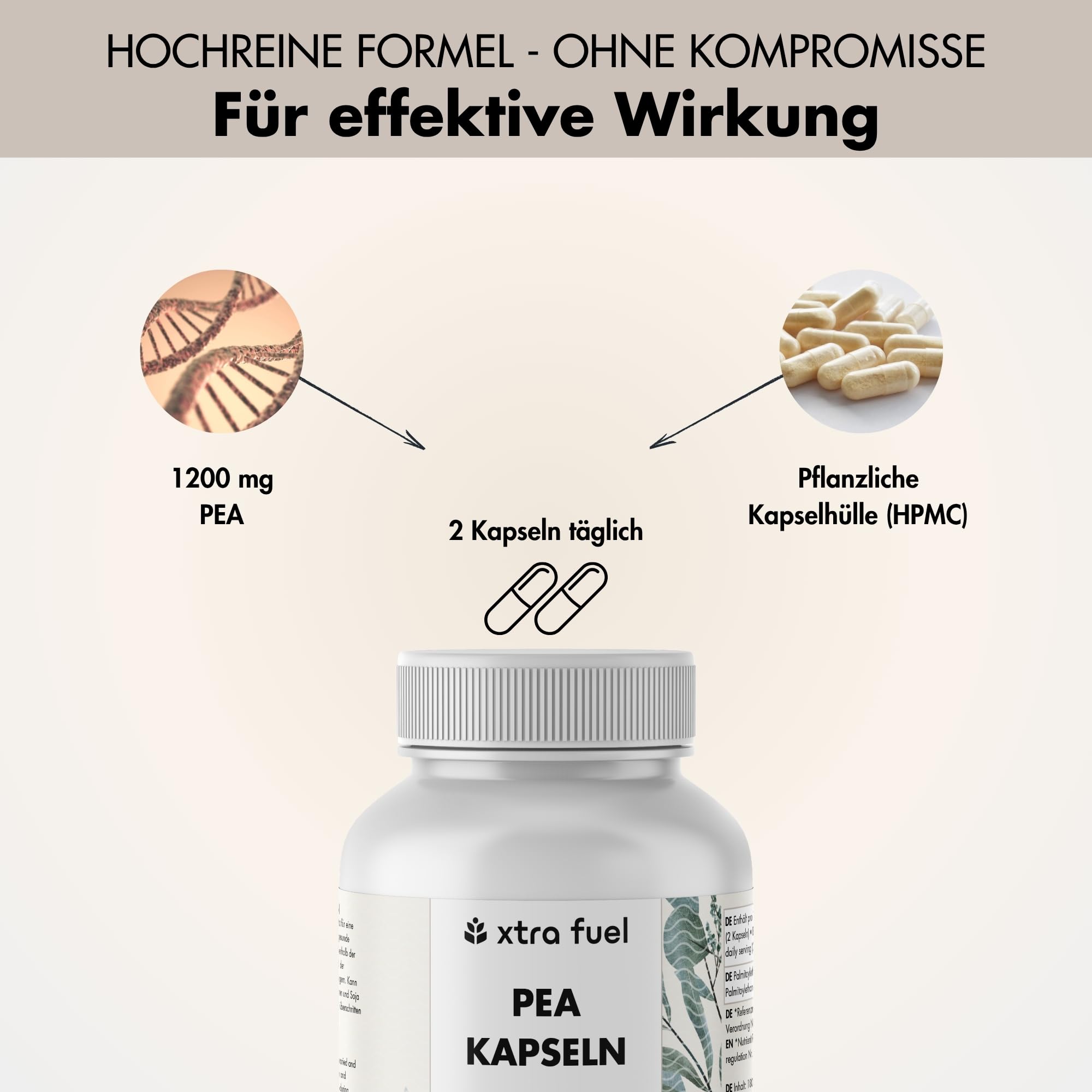 PEA Kapseln – 180 Kapseln hochdosiert - mikronisiertes Palmitoylethanolamid – 1200 mg pro Tagesdosis – vegan & laborgeprüft