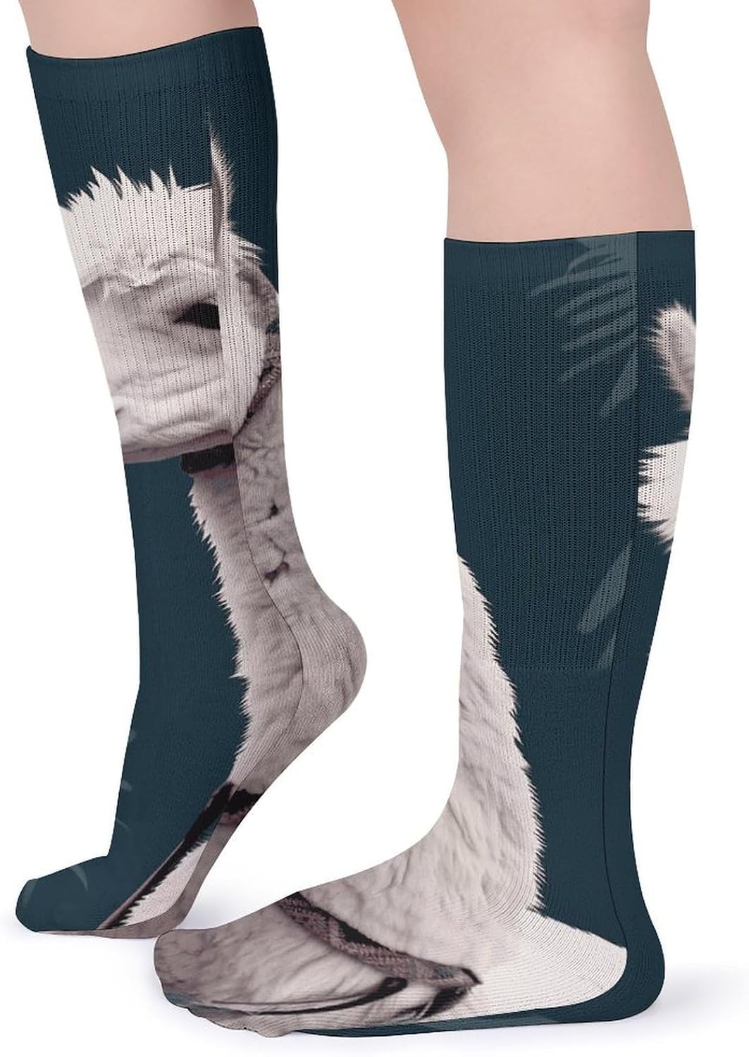 5-Pack Knee High Socks, 15.7 Inch Breathable Casual Socks Alpaca Llama Stockings for Men Women