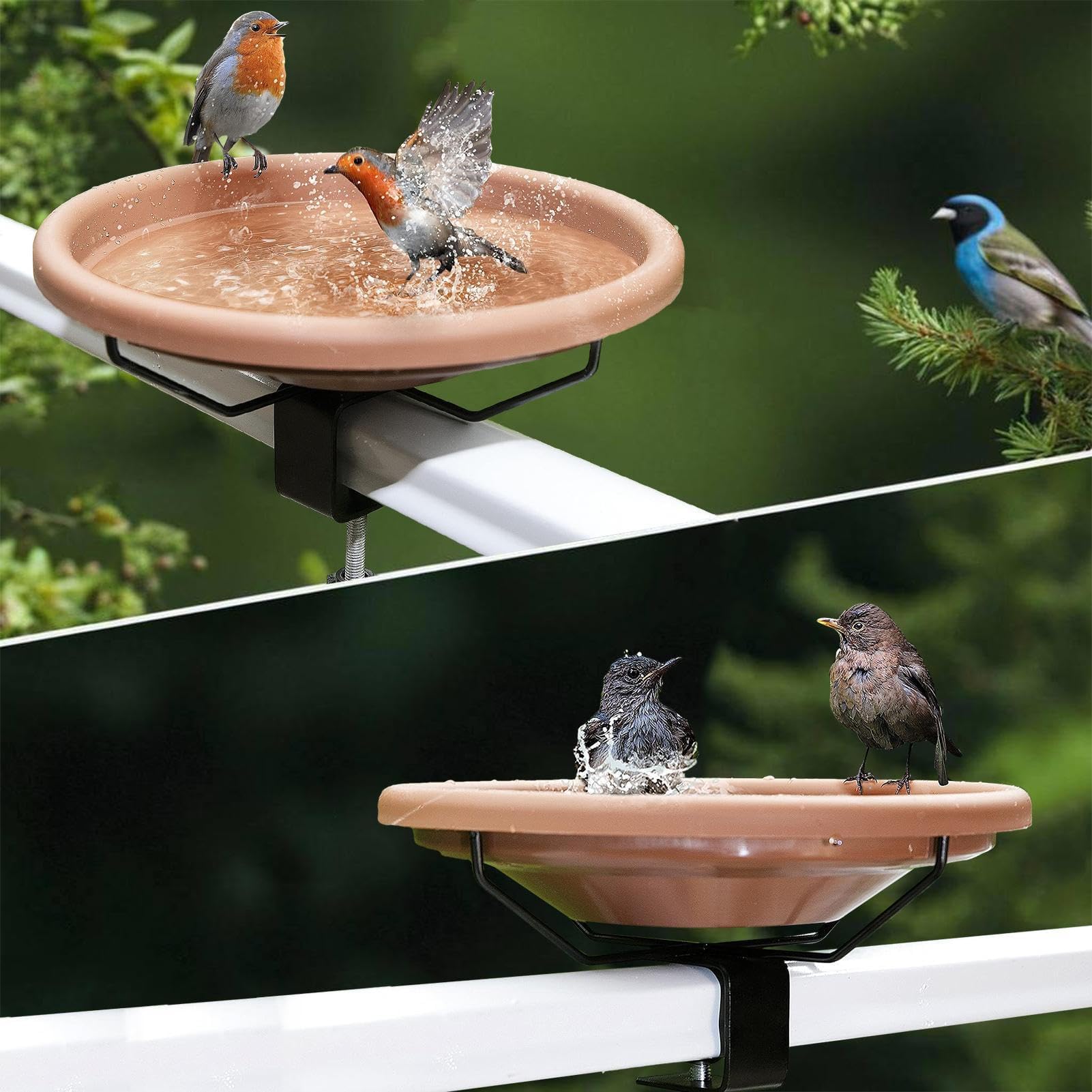 Baño para pájaros – Comedero desmontable ajustable de 26 cm para vallas y barandillas, ideal para jardines al aire libre, porches y patios traseros