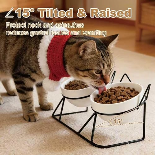 Miniatura 3 de Elevated Tilted Cat Bowls for Indoor Cats，Raised Ceramic Cat Bowl Elevated 15°,Pet Feeding Bowls for Food and Water Anti Vomiting Bowl(Double