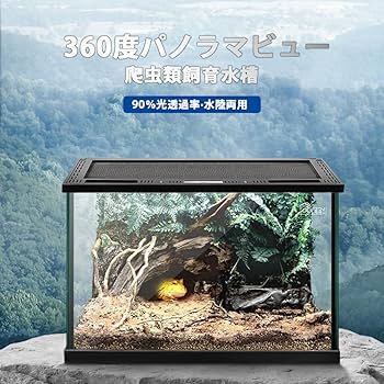 Amazon | 爬虫類 ケージ グラステラリウム 飼育ケース 大 昆虫飼育
