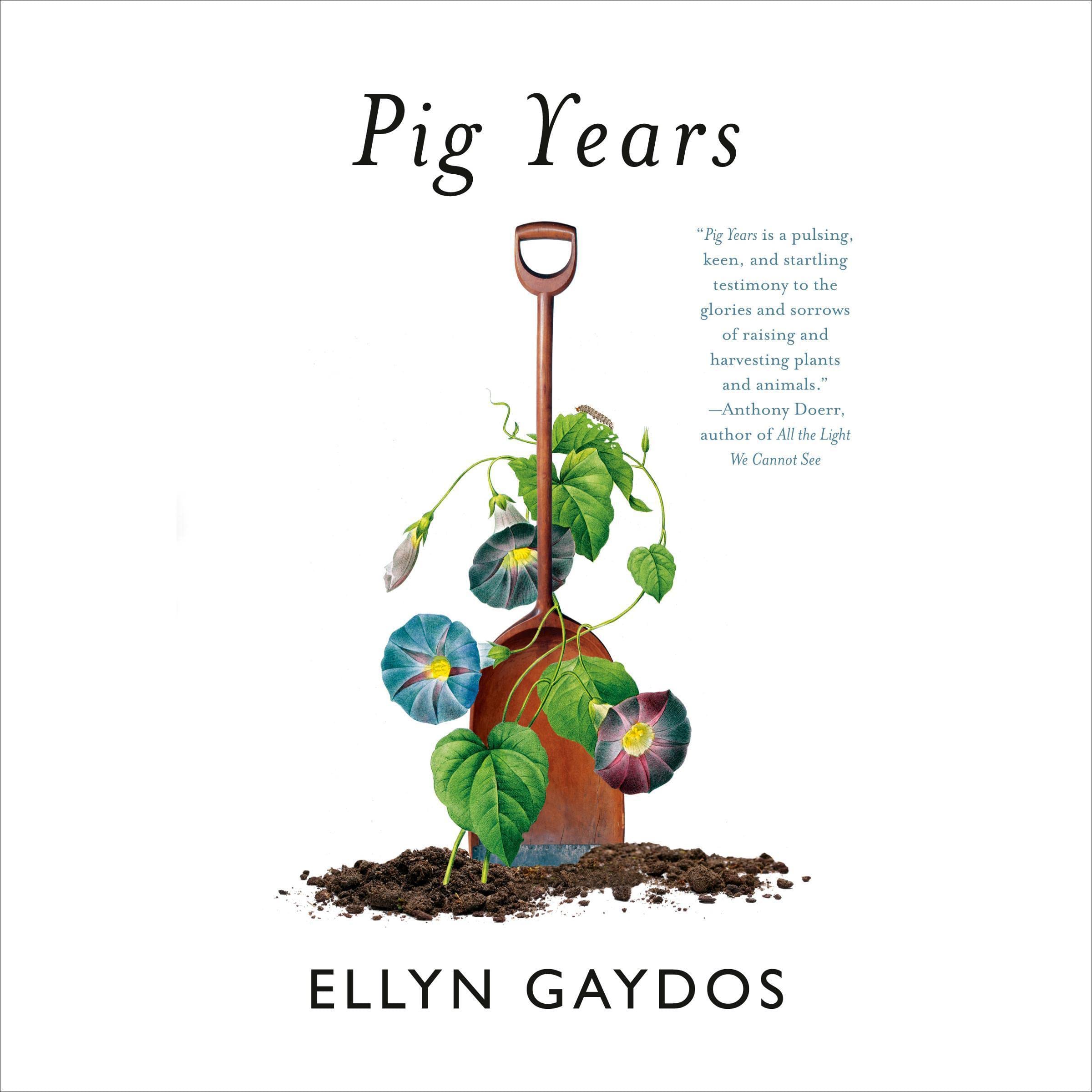 Cover art for Pig Years