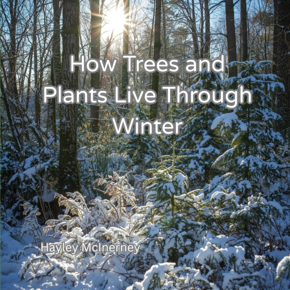 How Trees and Plants Live Through Winter (How Living Things Survive Through the Seasons)