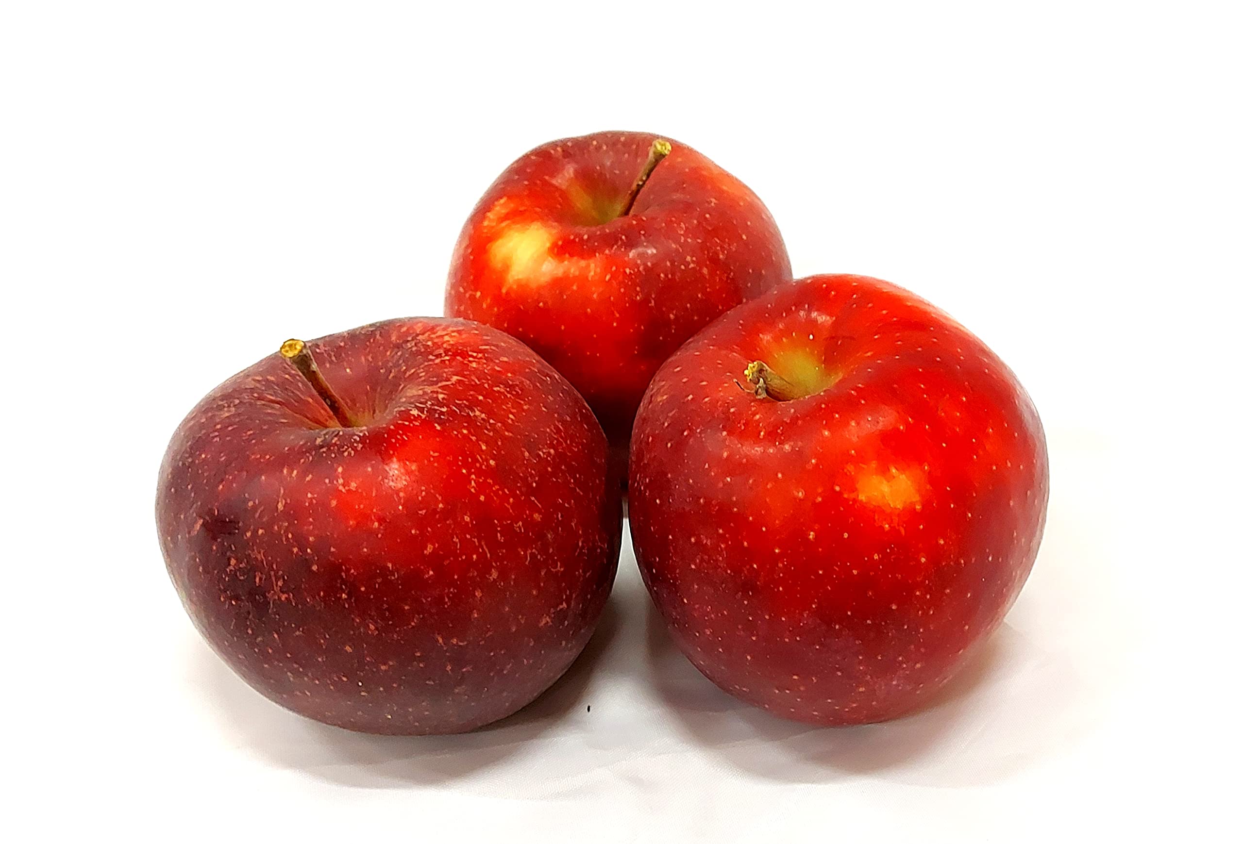 Äpfel Red Jonaprince Jonagold Price Red Prince aus Deutschland/Bodensee saftig süß-säuerlicher Tafelapfel 8 KG