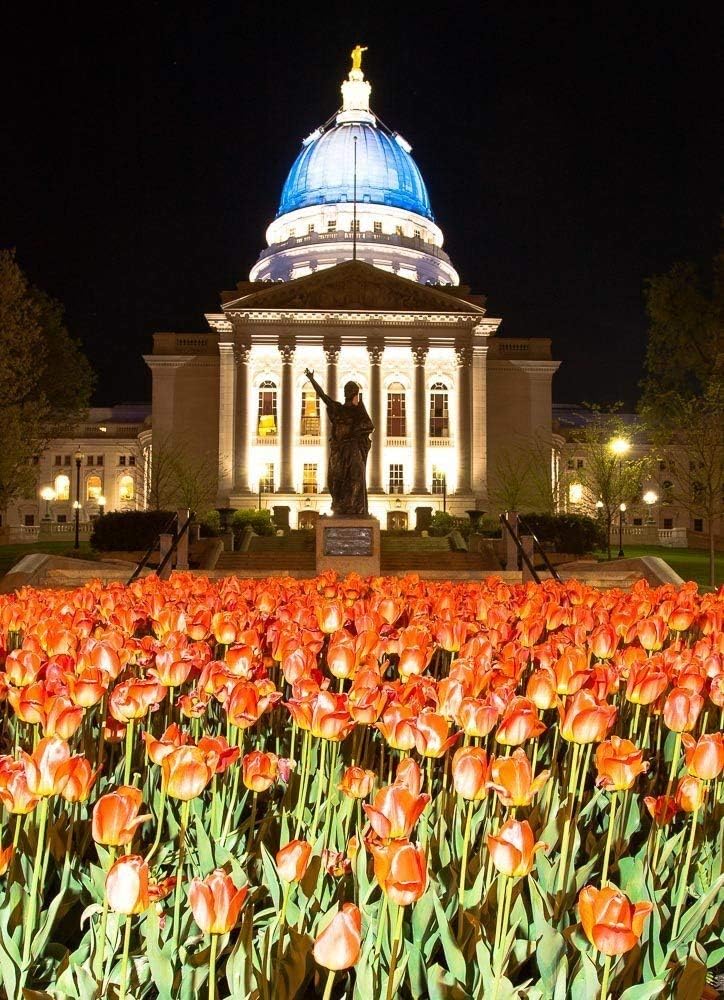 Red, White, And Blue - Capitol, Madison, Wisconsin Photograph