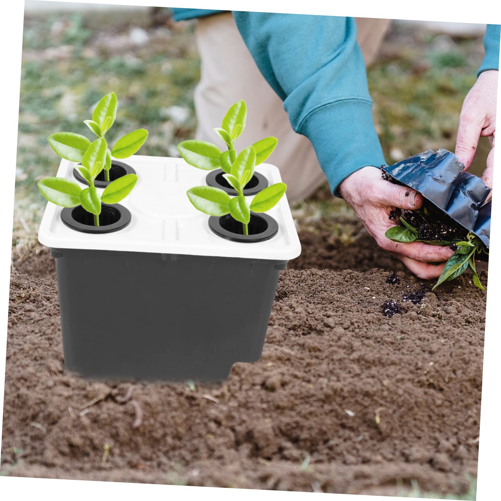 Gatuida Cubo para Cultivo Hidropónico sin Suelo Negro de PP, Estable y Práctico para Flores y Plantas Verdes en Invernadero