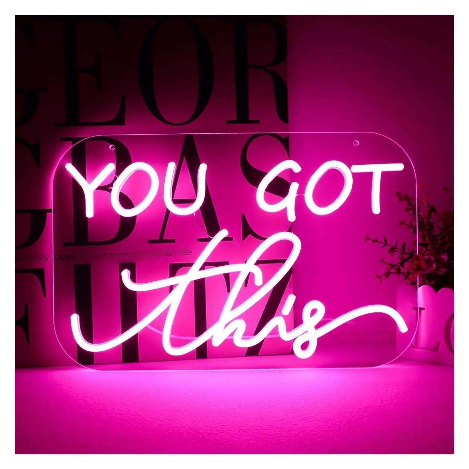 cartelli al neon personalizzati You Got This Insegna Al Neon USB Dimmerabile Per Palestra Ufficio Lavoro Di Squadra Casa Famiglia Detti Arredamento Della Camera 41x26.5cm/16.1x10.4 Inch
