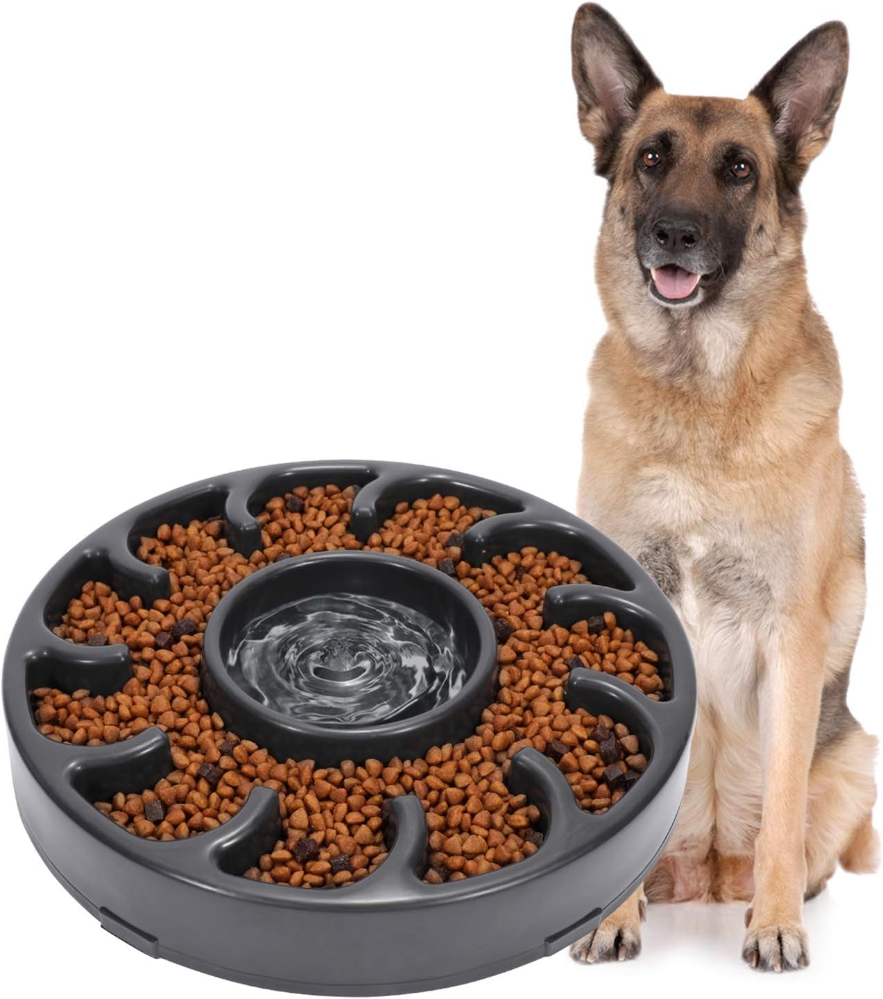 electronic dog bowl