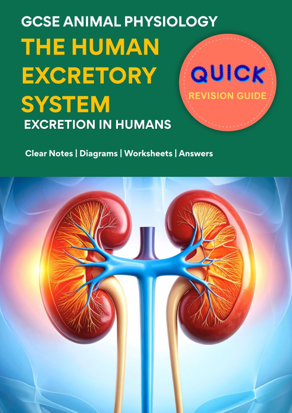Quick Revision Guide - Human Excretory System: GCSE Animal Physiology - Clear Notes | Diagrams | Worksheets | Answers: GCSE & IGCSE Biology | Homeostasis and Excretion