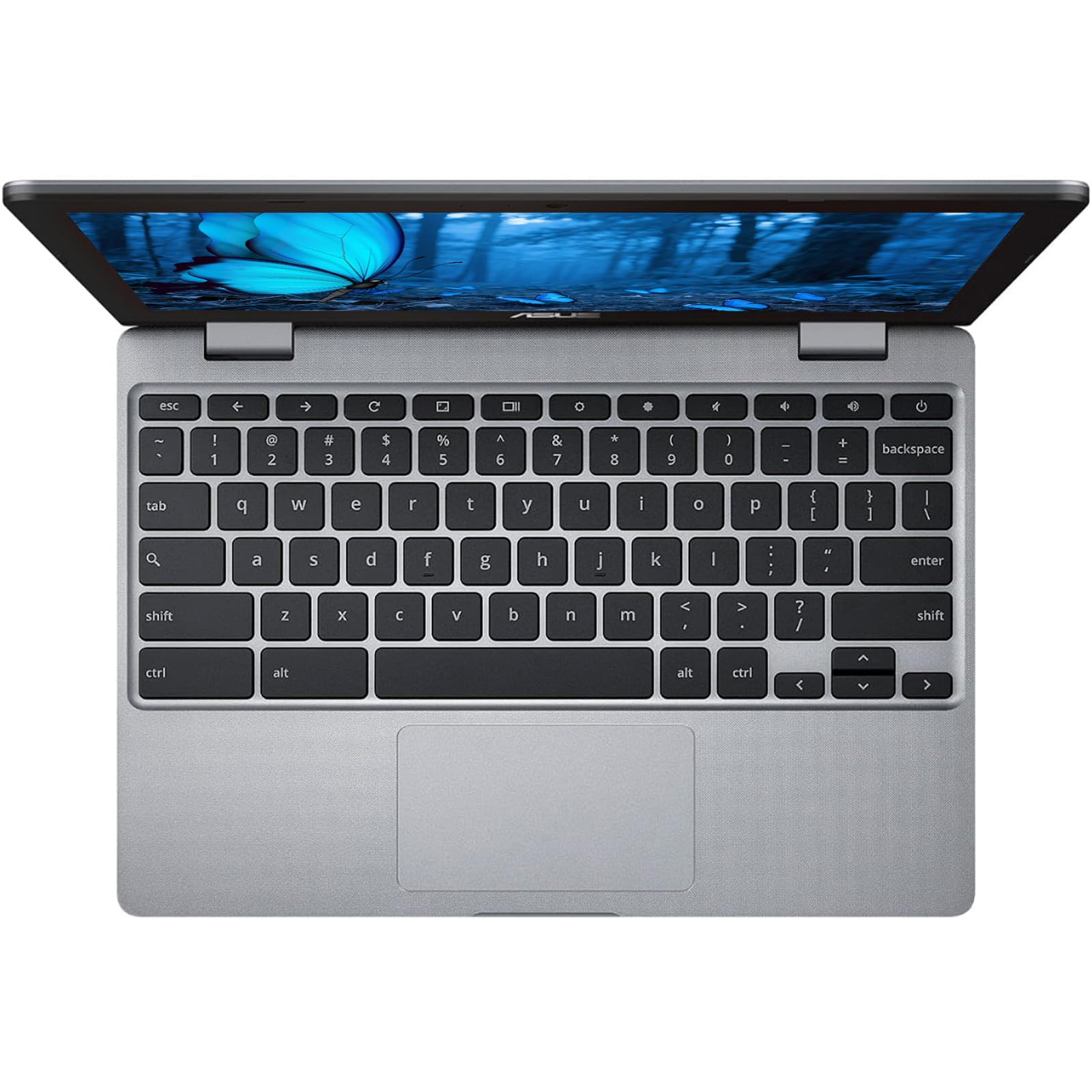ASUS Chromebook 11.6インチ 4GB 32GB Amazon.com: ASUS Chromebook Laptop,11.6