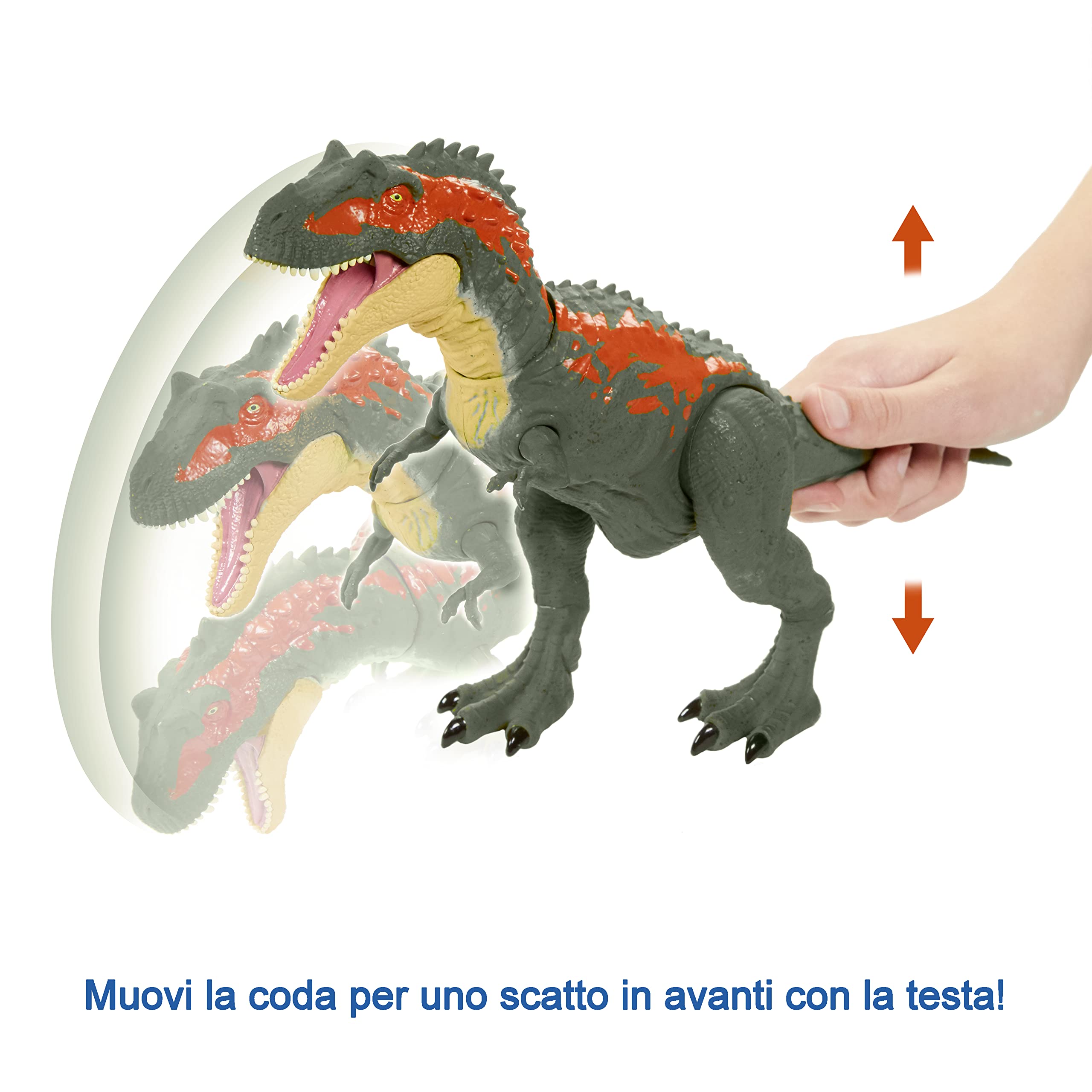 Jurassic World Morso Estremo, Dinosauro Albertosaurus Attivabile, Giocattolo per Bambini 4+Anni,GVG67