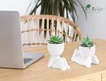 Der Rose 3Pcs Fake Plants Artificial Succulents Plant for Office Desk Shelf Home Room Accessories Decor Indoor
