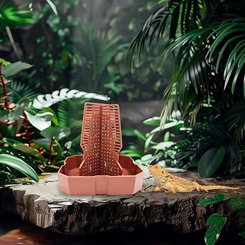 Bearded Dragon Tank Accessories, Lizard Feeder, Reptile Food Cup, Dubia Roaches Organizer with Column for Prey to Climb and Move, Food Bowl for Bearded Dragon, Gecko, Frog