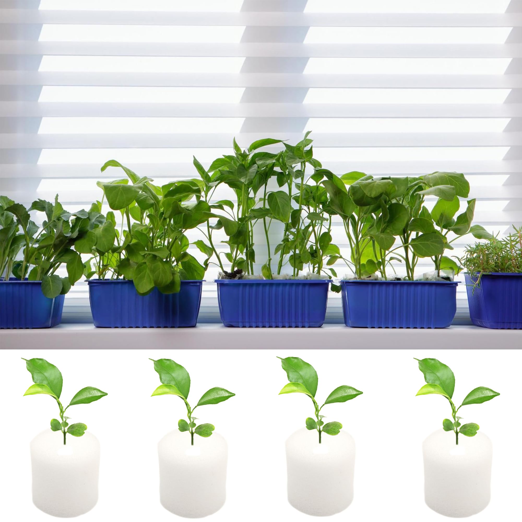 ZAHD 100 PCS Soilless Hydroponics Esponja hidropónica para Plantar Herramientas de Esponja de Vivero de Semillas Suministros esponjas de Cubo de plántula esponjas hidropónicas sin Suelo (100, Blanco)