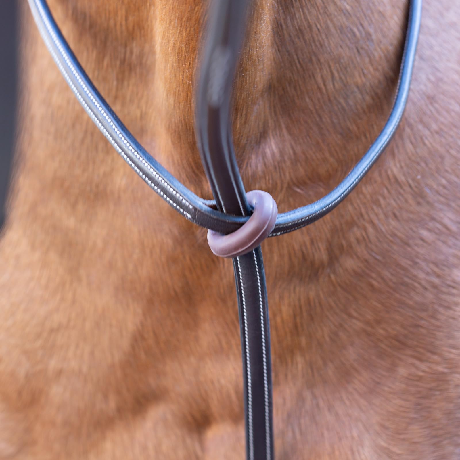 Equinavia Saga Martingala de pie ajustable de cuero con herrajes de acero inoxidable - marrón chocolate - caballo