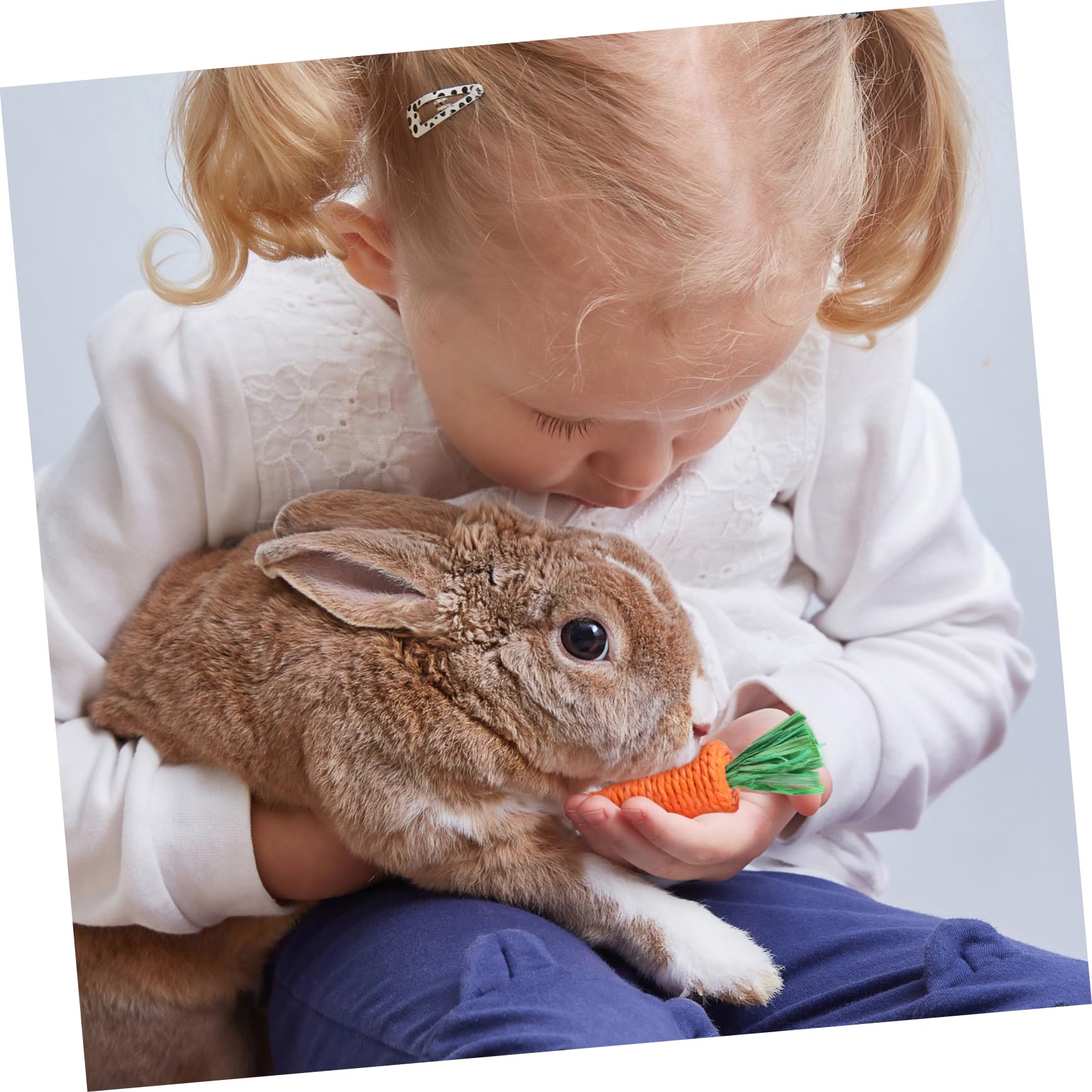 BESPORTBLE 30 STK Geflochtene Karotten Spielzeug Für Sittiche Hamsterspielzeug Chinchilla- Und Zubehör Für Meerschweinchenkäfige Kaninchen-molarrettich Tasse Papierseil
