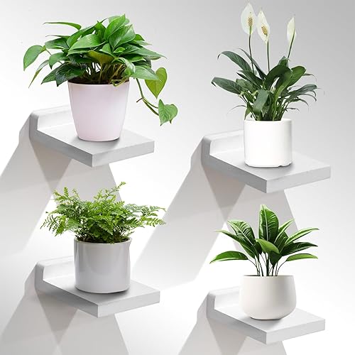 Estante pequeño de pared, mini estantes flotantes para pared de 4 pulgadas, juego de 4, estante de decoración de exhibición para dormitorio, baño,