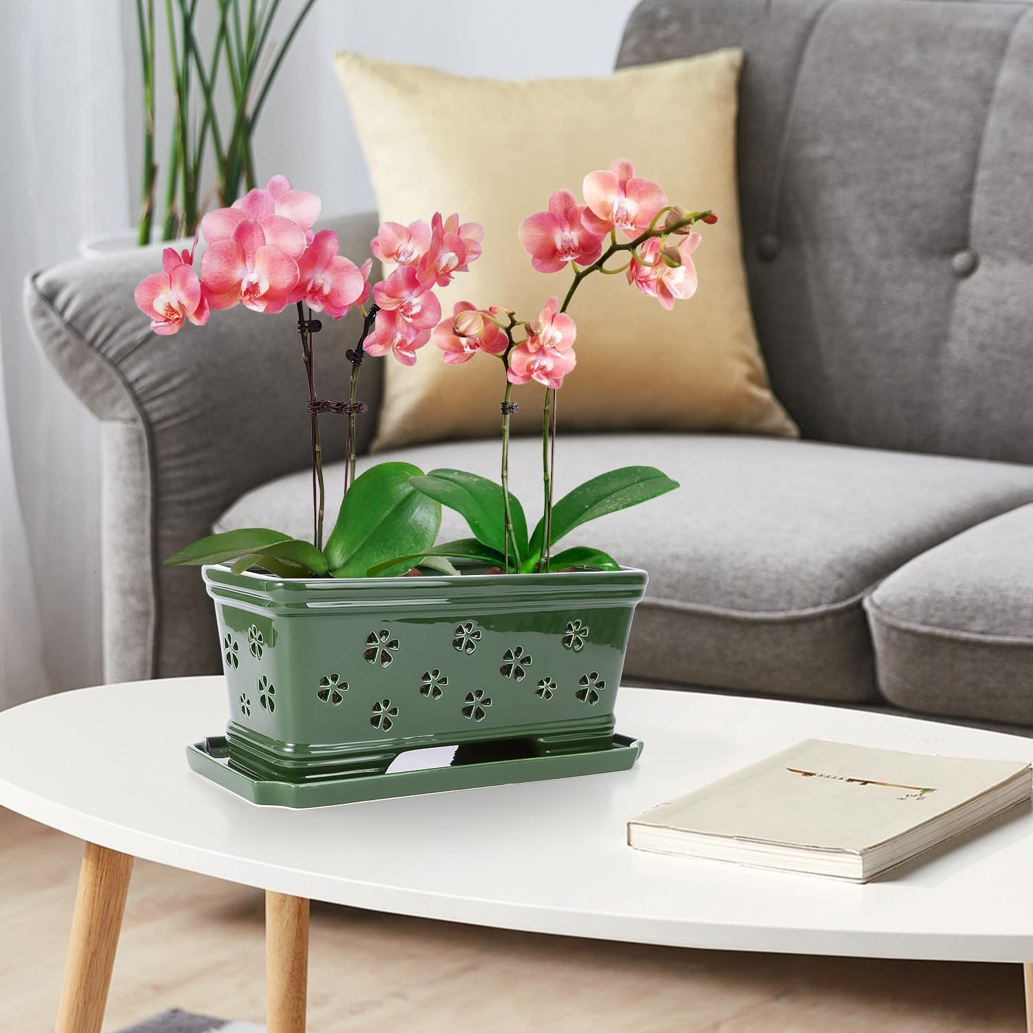 Ceramic Orchid Pot 10 * 4.3 * 4.3Inch Orchid Planter with Holes for Repotting Indoor Flower Plant Pot with Drainage and Saucer, Arctic Green