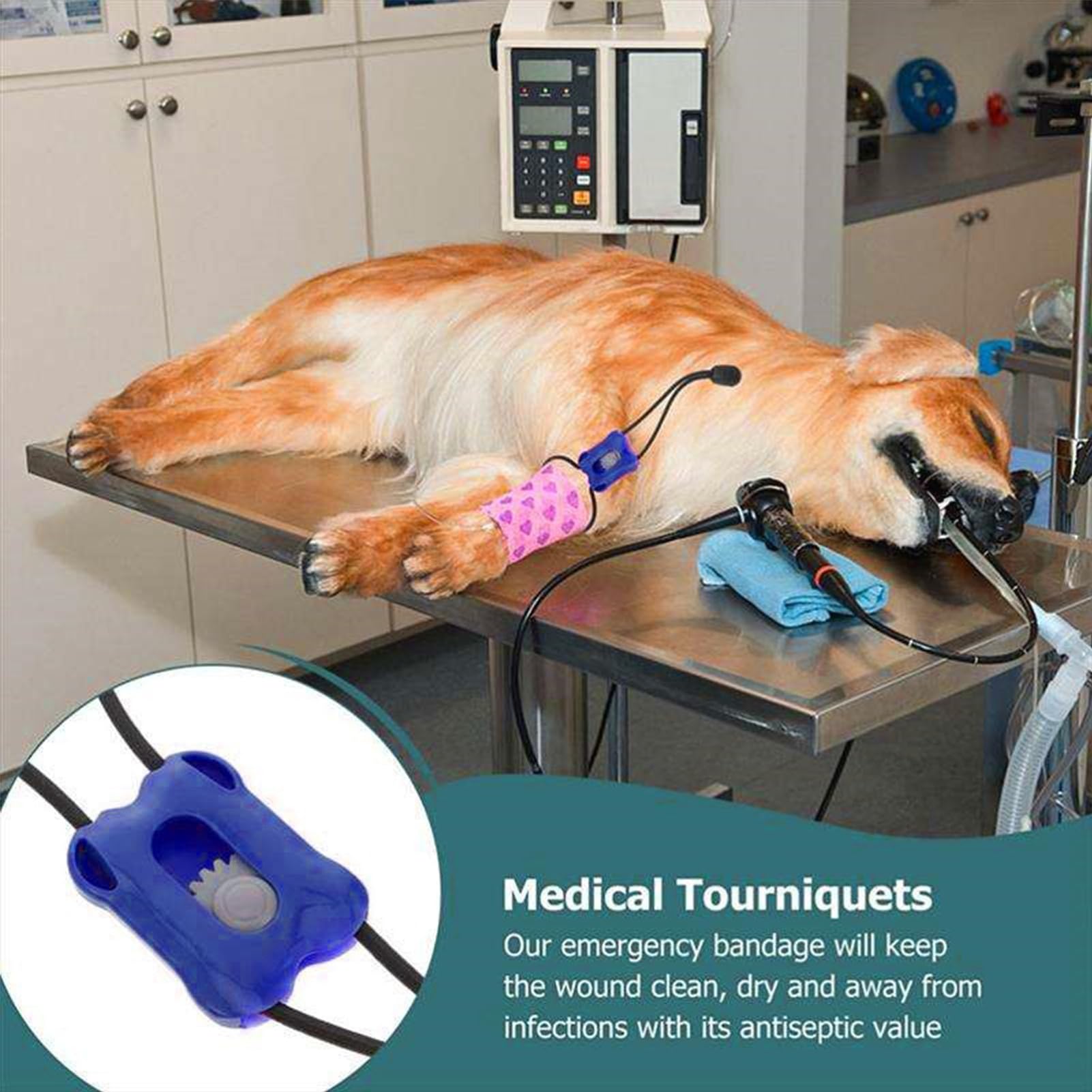 Release Release Sport Tourniquet - Controllo di sanguinamento istantaneo per animali domestici, bendaggio di emergenza portatile | Care della ferita per gatti e cani, pronto soccorso veterinario, kit