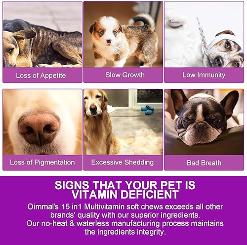 Miniatura 9 de Suplementos multivitamínicos para perros 15 en 1 con glucosamina y probióticos, vitaminas naturales diarias masticables para perros, apoyo a la