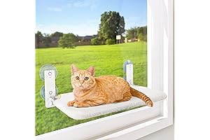 AMOSIJOY Foldable Cat Bed Window Perch for Indoor Cats, Scratch Resistant Solid...