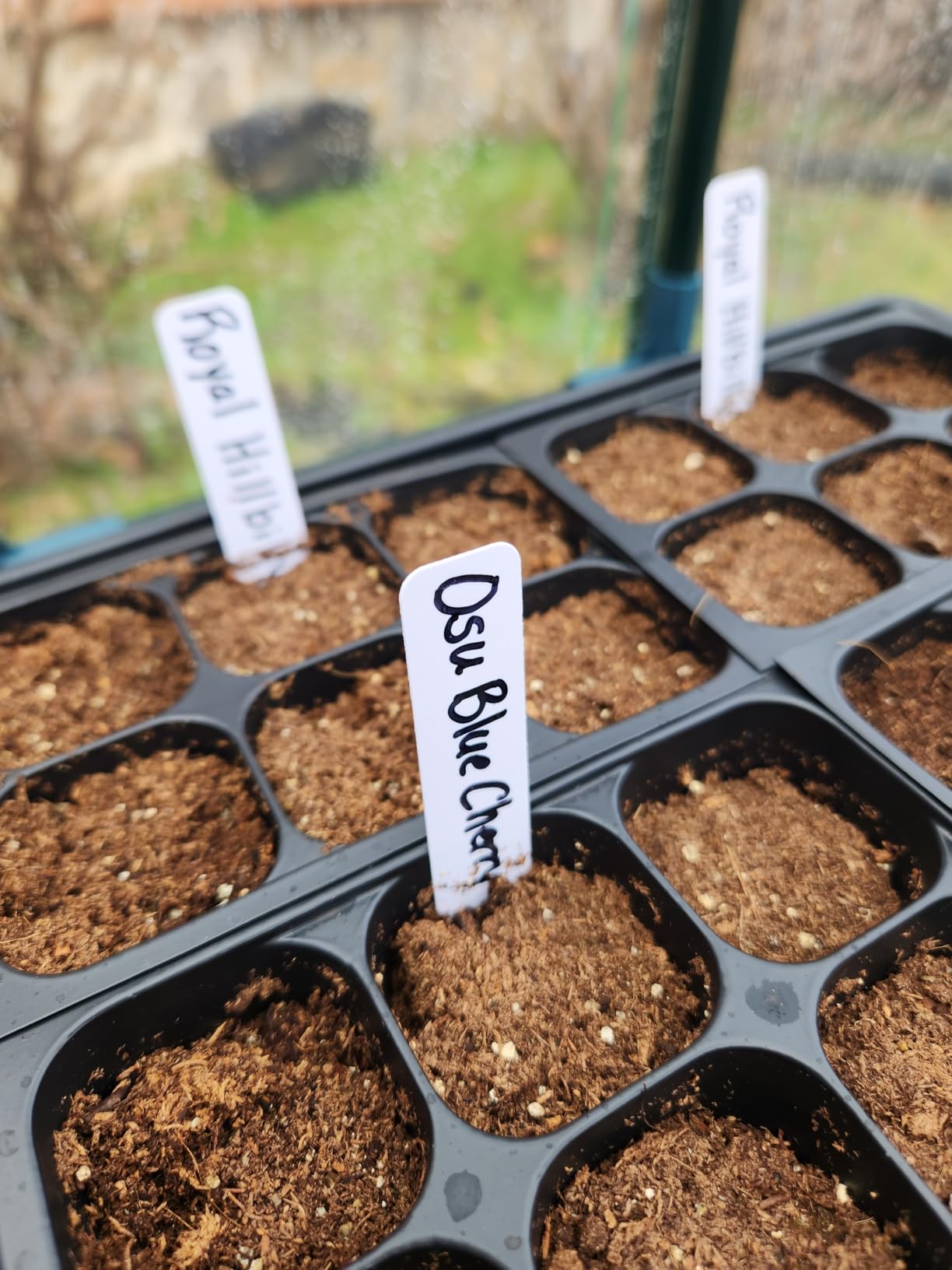 Customer photo of 4-Inch Garden Plant Labels