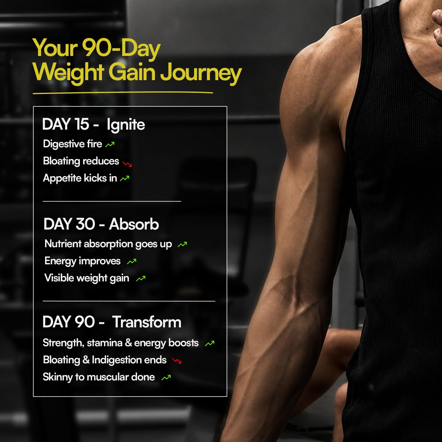 Ayuvya i-Gain+ & Lets Gain Weight Support Combo | i-Gain+ Helps In Improving Appetite, Digestion & Nutrient Absorption | Lets Gain Helps In Nourishing Body For Muscle Health 4