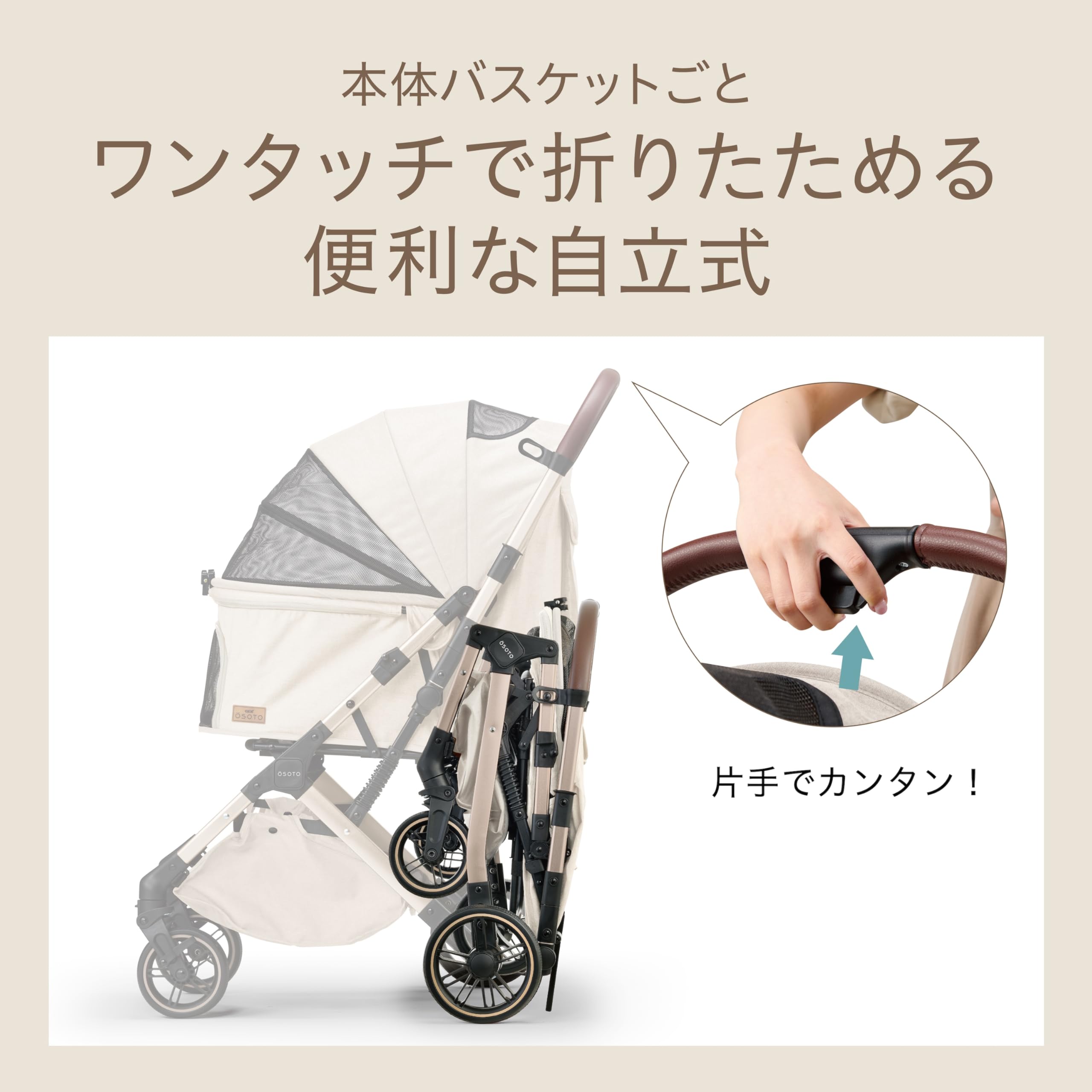 Amazon | ジェックス OSOTO GRACE(グレース) QC Ⅱ シュクレ