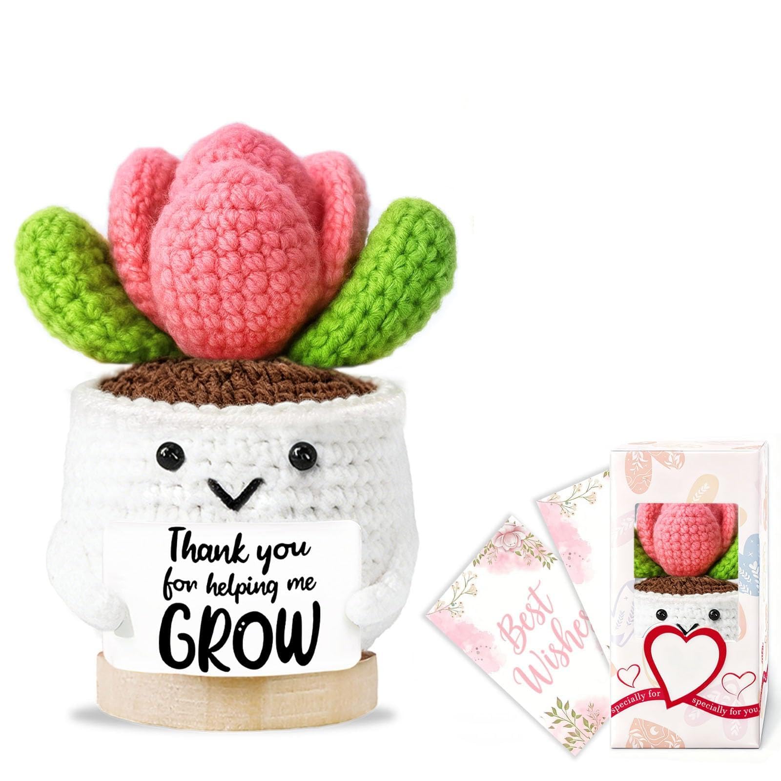 Personalised Thank You Teacher Gifts for Women Crochet Succulent Mentor,Nursery Teachers Gift Graduate Christmas Appreciation Retirement End of The Year Gift for Teacher Thank You for Helping Me Grow