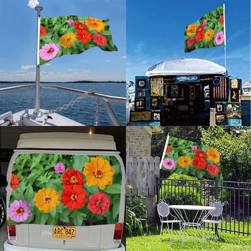 Amazon.com : Swono Colorful Zinnia Flowers Flag 3x5 ft Dahlia