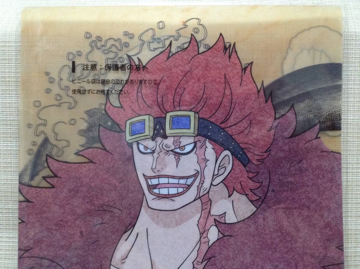 ONE PIECE トラファルガー・ロー クリアファイルセット 未使用 ONE PIECE トラファルガー・ロー エース クリアファイルセット - メルカリ