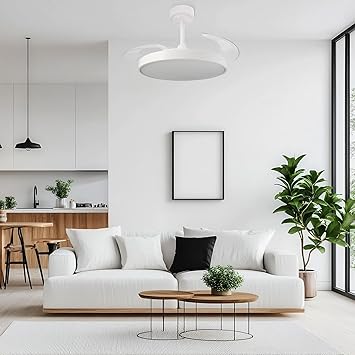 Foto del Ventilador