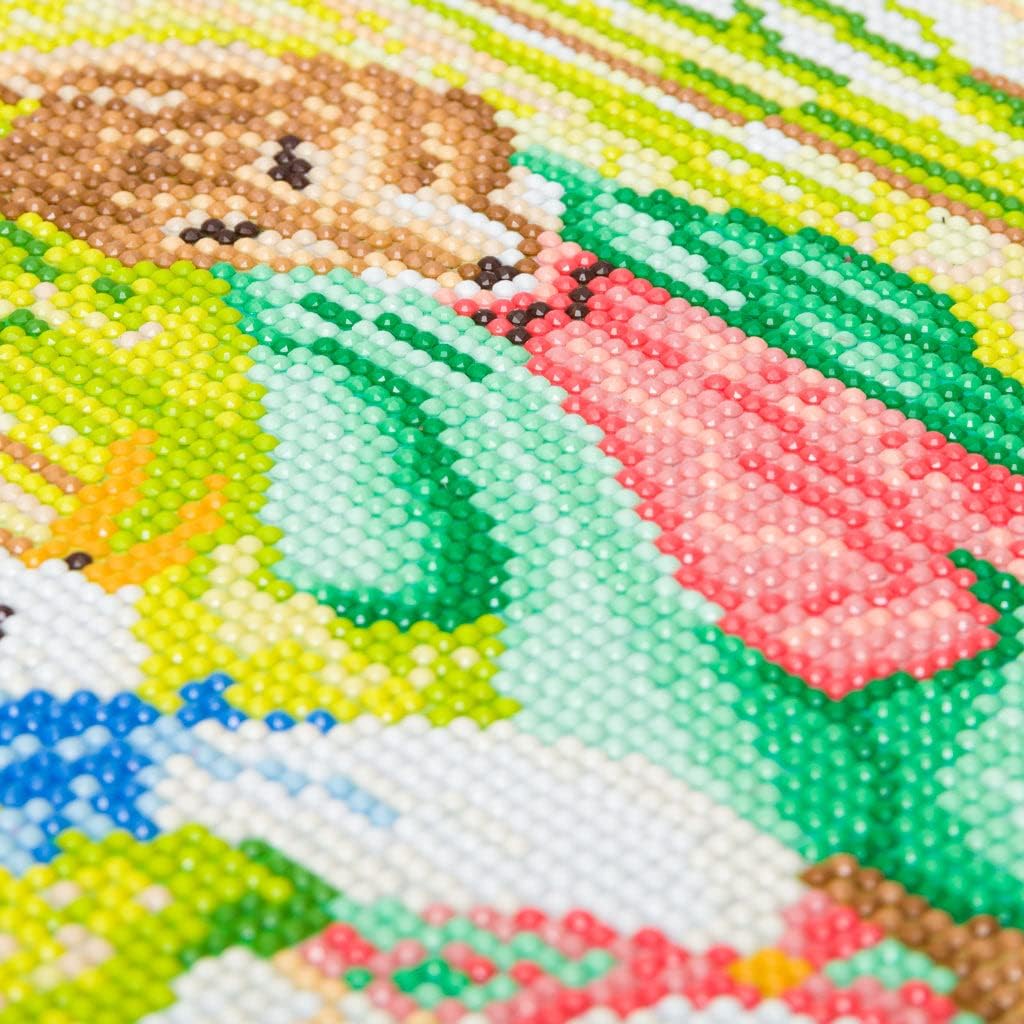 Crystal Art Medium Framed Kit (11.8in x 11.8in) - Jemima Puddle Duck - Diamond Painting Kit for Ages 8 and Up