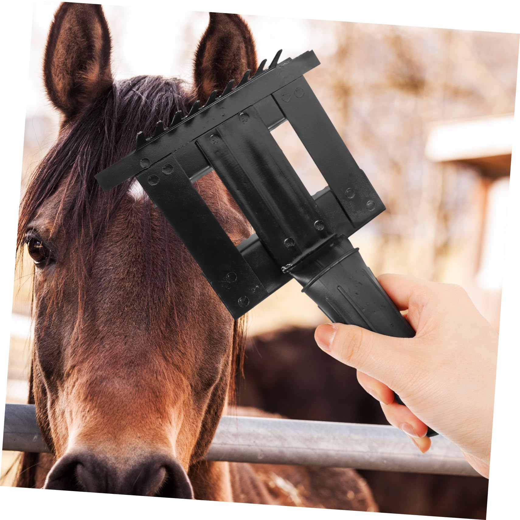 minkissy 4 Stück Anti-Juckreiz-Rechen tierbürste tierhaar bürste Reinigungsbürste Haustier Fellschaber für Nutztiere zubehör für die pferdepflege Tierarzt Reinigungskamm Lieferungen Gummi
