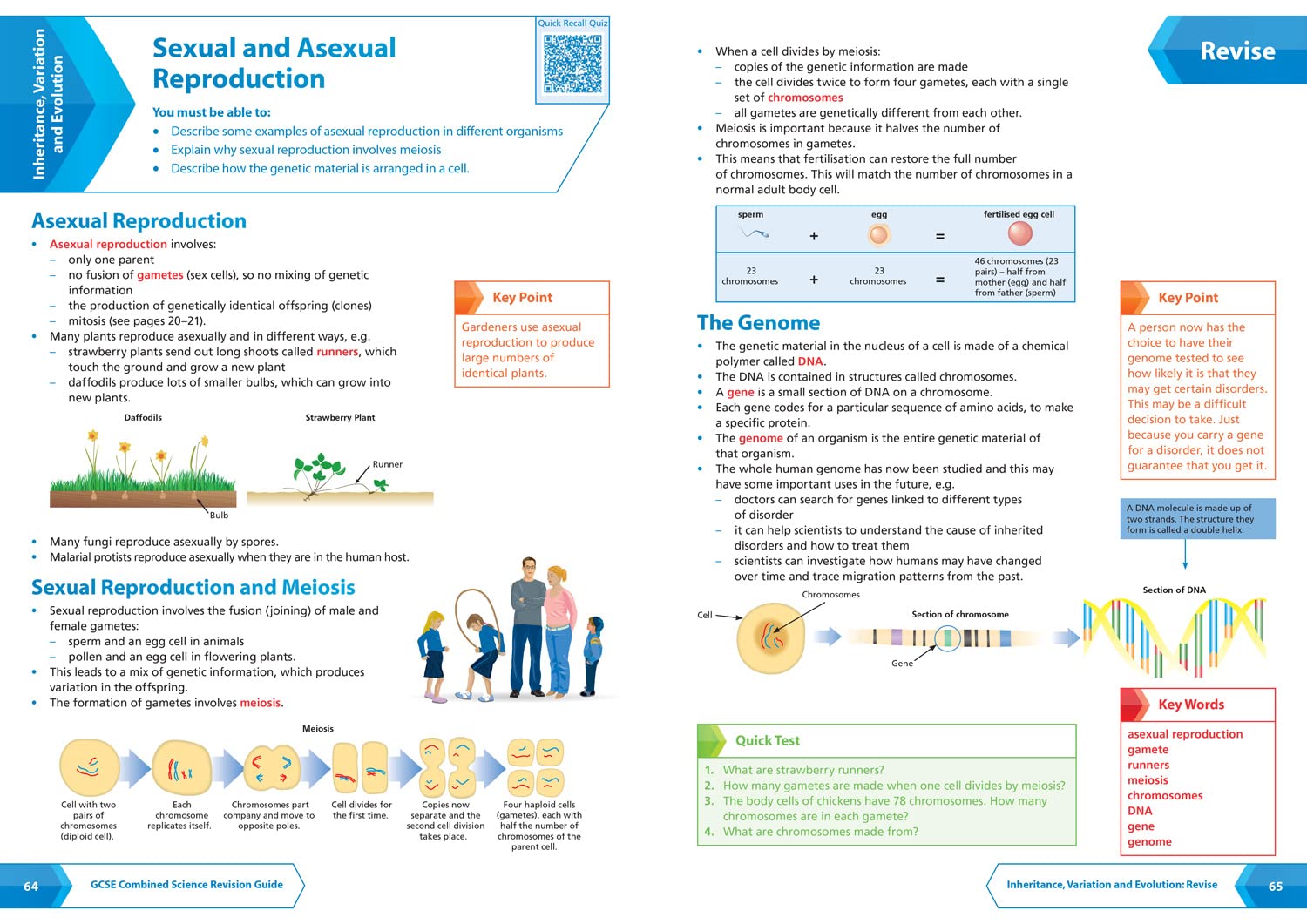 AQA GCSE 9-1 Combined Science Foundation Complete Revision and Practice: Ideal for the 2026 and 2027 exams includes online edition, quizzes and video solutions (Collins GCSE Grade 9-1 Revision)