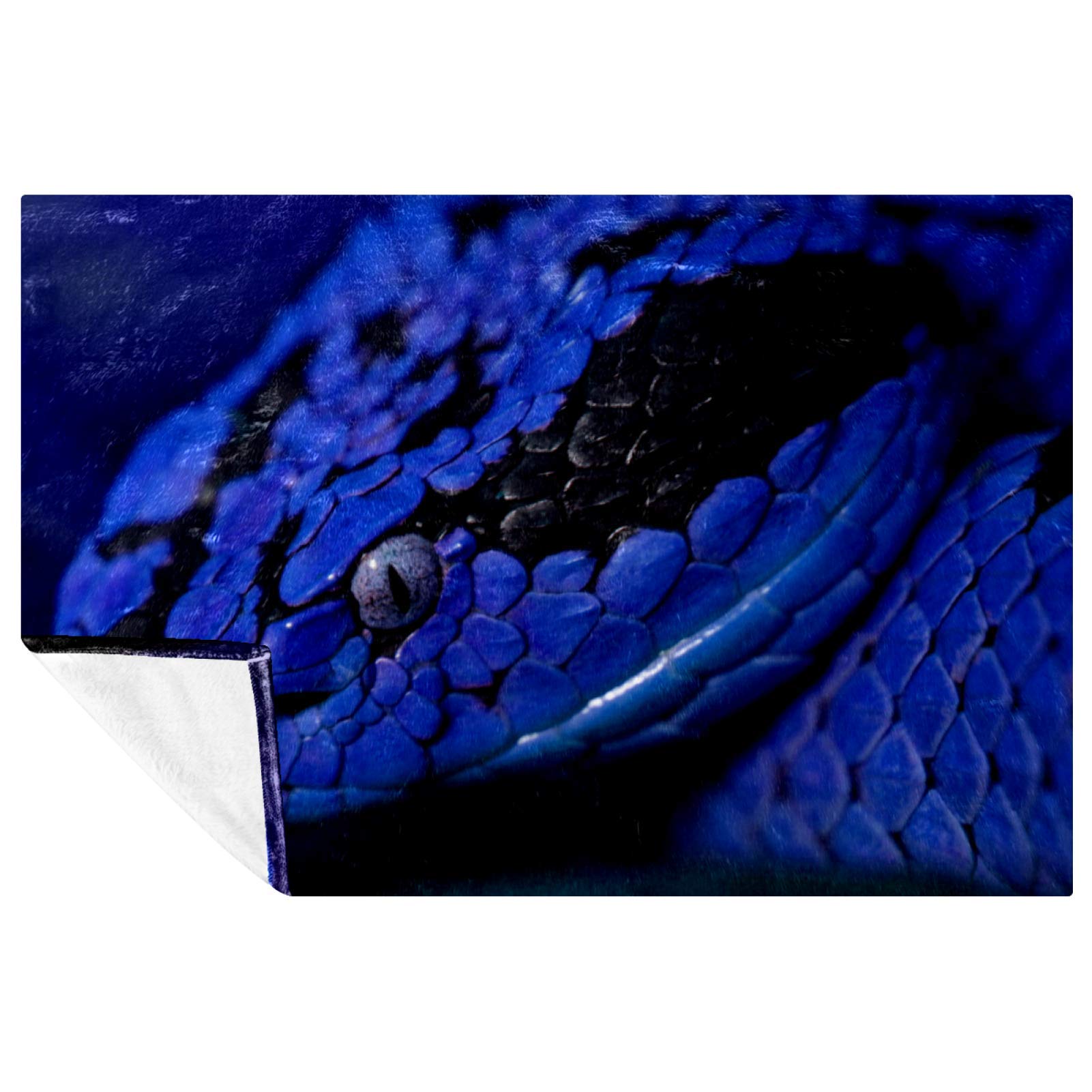 Couverture serpent bleu : l'accessoire cosy pour vos pique-niques et campings
