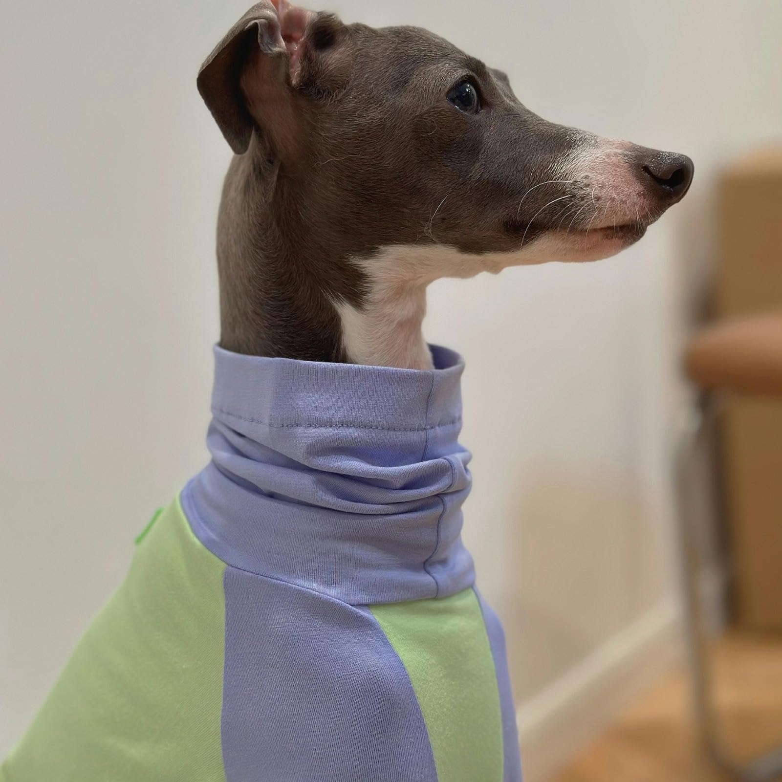 Ropa de Galgo Italiano para Primavera y Verano, Camisa Fina de algodón para Perro, Jersey de Cuello Alto, Camisetas para Perros, Disfraces Suaves y Transpirables para Perros