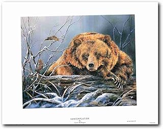 Impact Posters Gallery Wall Decor Art Print Contemplation Grizzly Bear Native American Northwest Poster (22x28)