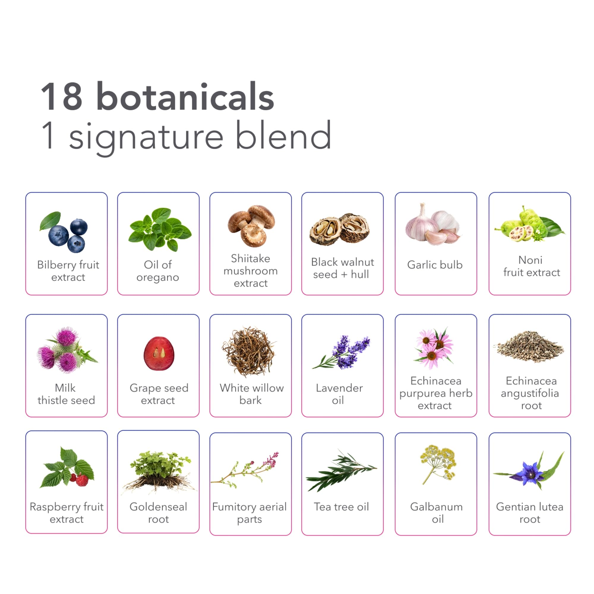 Biocidin Broad-Spectrum Capsules for Microbiome Balance, 90 Count — Amazon image 8