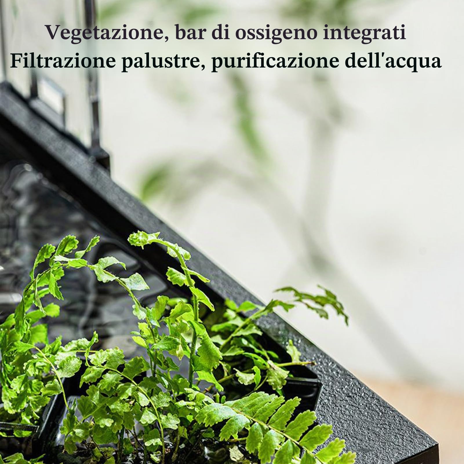 Kit Acquatico Da Tavolo - Acquario Trasparente per Animali con Pompa, Bacino Interno per Tartarughe e Decorative | Acquario per Principianti con Aria Ideale per Soggiorno, Spazio