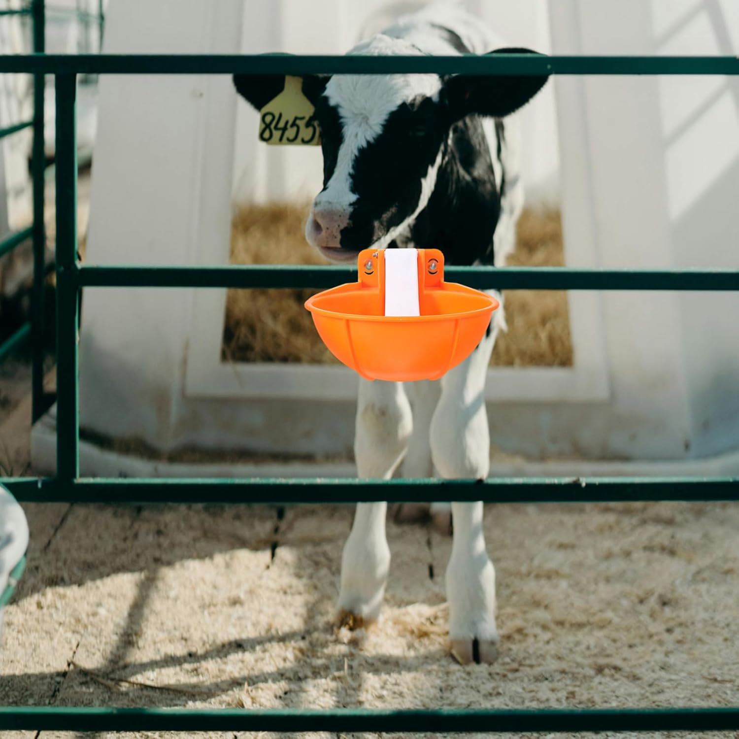 Plastic Cow Waterer Automatic Livestock Water Tank Large Capacity Easy to Use Maintain